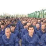 Uyghur Forced Labor