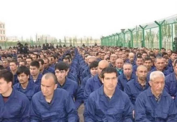 Uyghur Forced Labor