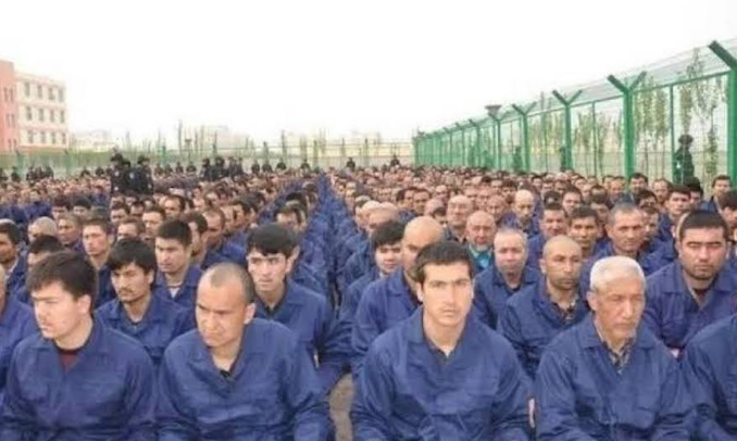 Uyghur Forced Labor